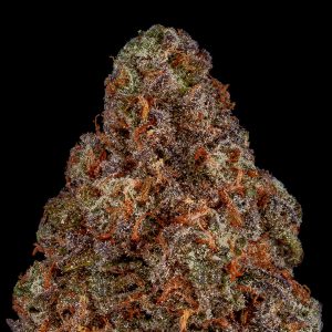Blueberry Muffin Weed Strain
